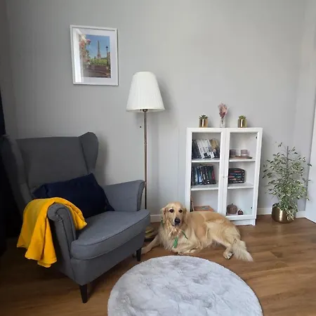 A Modern In The Heart Of Podgorze Krakau